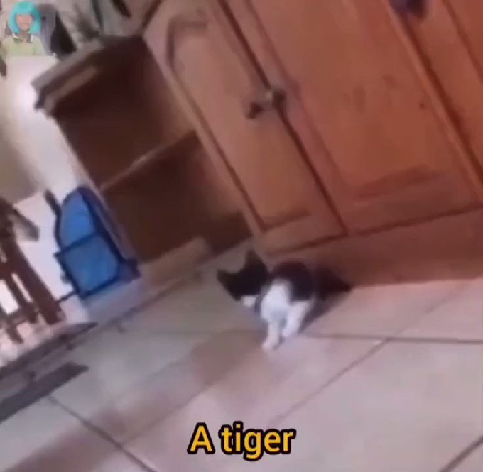 Ó https://t.co/GB0G4qbMsM