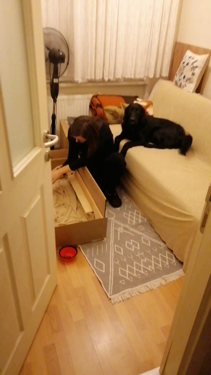 Murat Kuru on X: Gizli çekim anne sevgisi. Sonunda yakalanmasak çok iyi  gidiyorduk. Evde aşırı sevgi patlaması var:) t.coTQ0Q9UwbzP  X