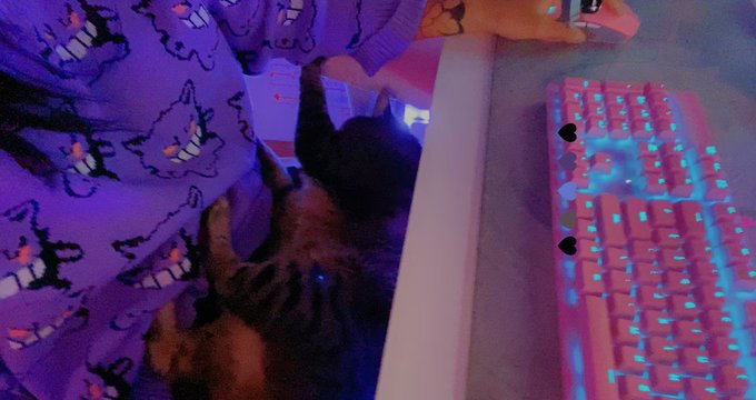 she sit in me lap while i league 🥰🥰🥰 https://t.co/BzzCvnvHzH https://t.co/5ywuSBiDI8<a href="/tag/throne"class="tags"><span>#throne</span></a><a href="/tag/wishlist"class="tags"><span>#wishlist</span></a>