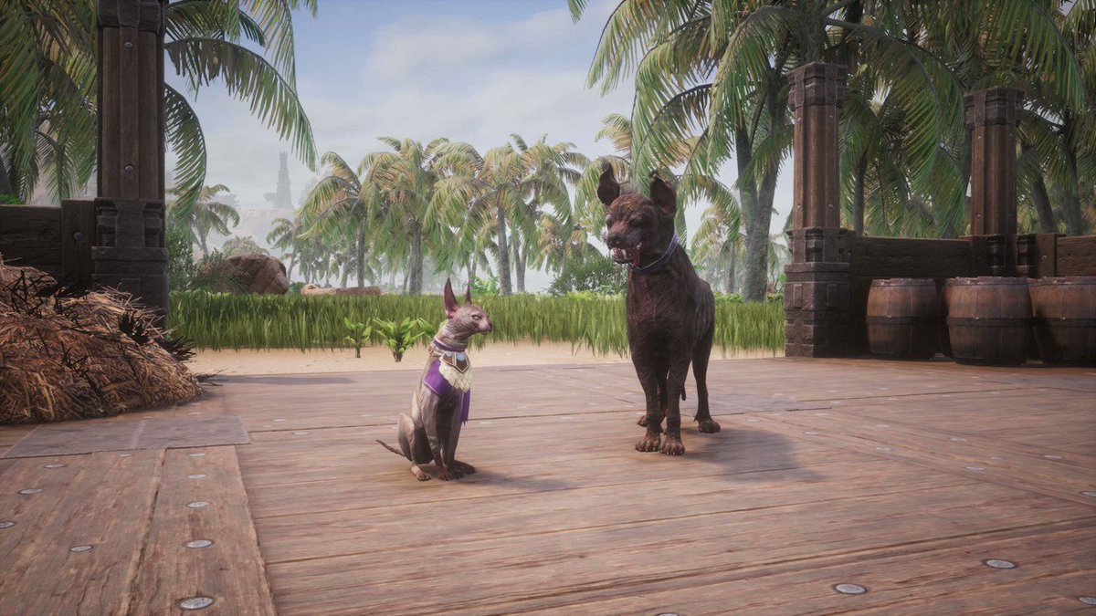 conan-exiles-on-twitter-to-pet-cat-to-pet-dog-defend-your-choice-in-the-comments-and