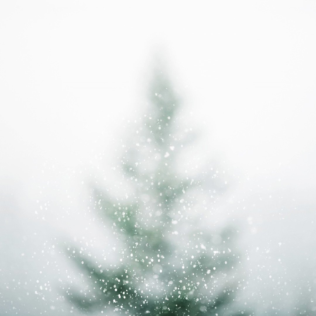 hrms-solutions-on-twitter-grateful-for-the-opportunities-this-year