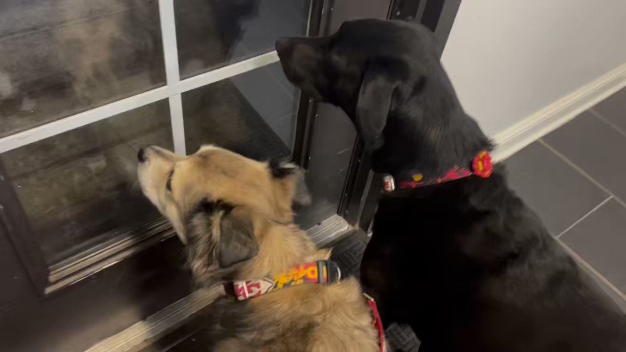 Gary Lezak on Twitter "Two minutes outside is more than enough. I am