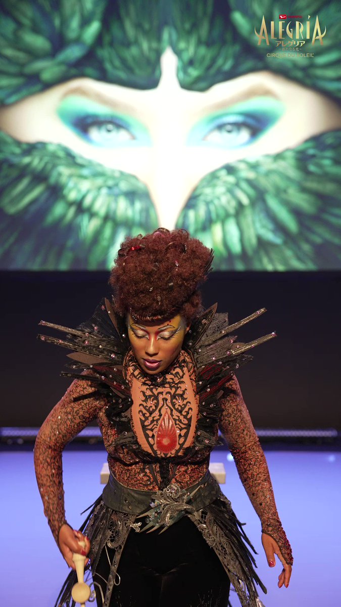 Papaya様アレグリア シルク ドゥ ソレイユ 大人平日チケットss席3枚