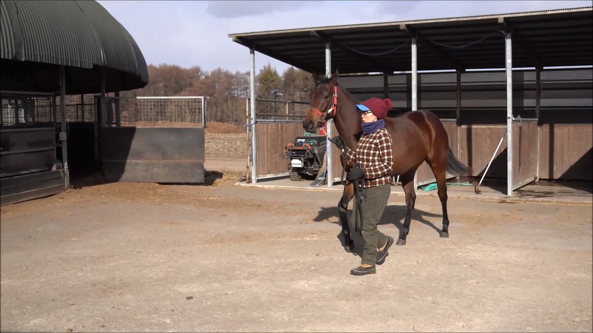 ネージュダムールに次いでの出資😆 