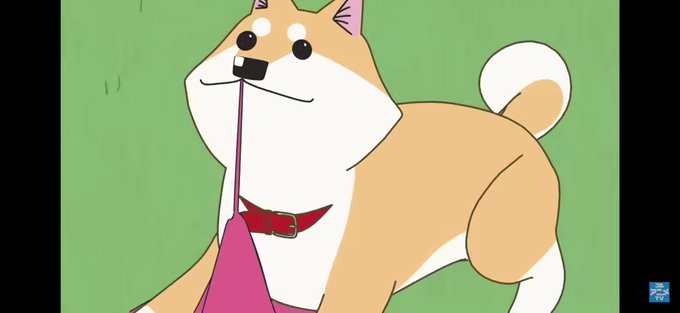 ただいま「テレビアニメいとしのムーコ」全話無料です。よろしくです🐕  