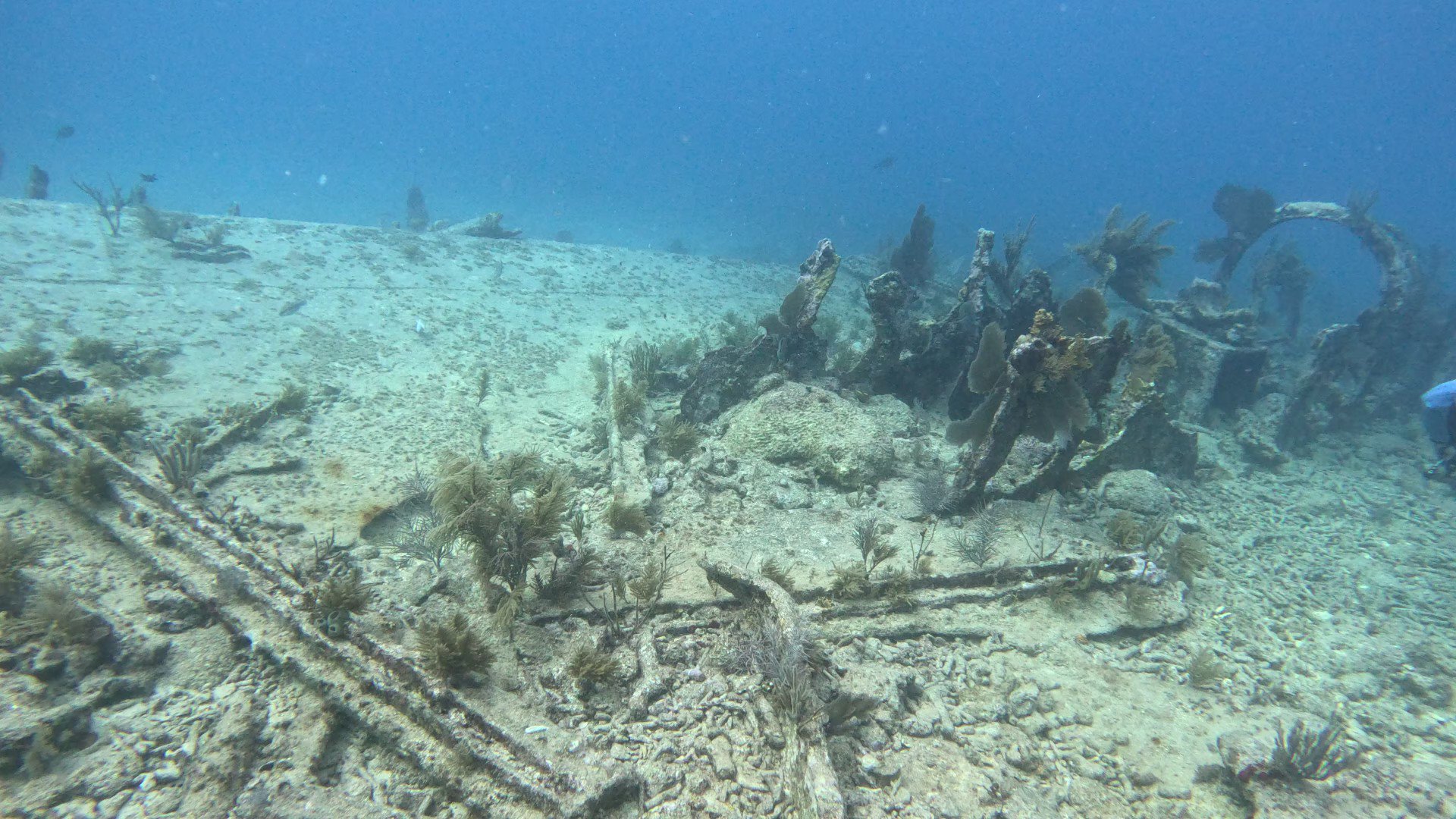 The third nut! (chasingcoconuts) / Twitter