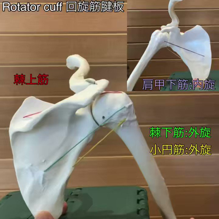 Twitter Image