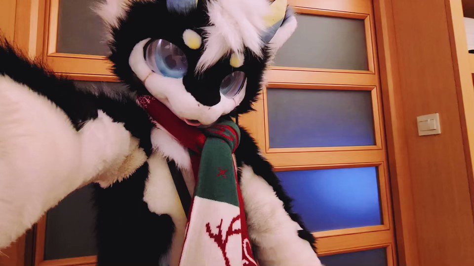 快乐是什么?快乐就是...和这个差不多!
#快乐就这么简单 #furry #Fursui#兽装 #牵比绒