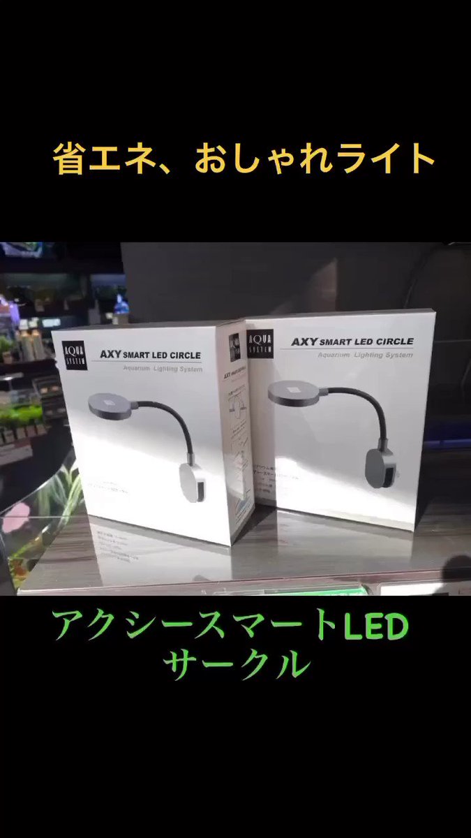 完成品 ももハウス水槽セット アクアシステム ASPセット 熱帯魚用 クリスティ60H LED 60Hz 水槽セット アクアシステム ASPセット 熱帯魚用 クリスティ60H LED 60Hz
