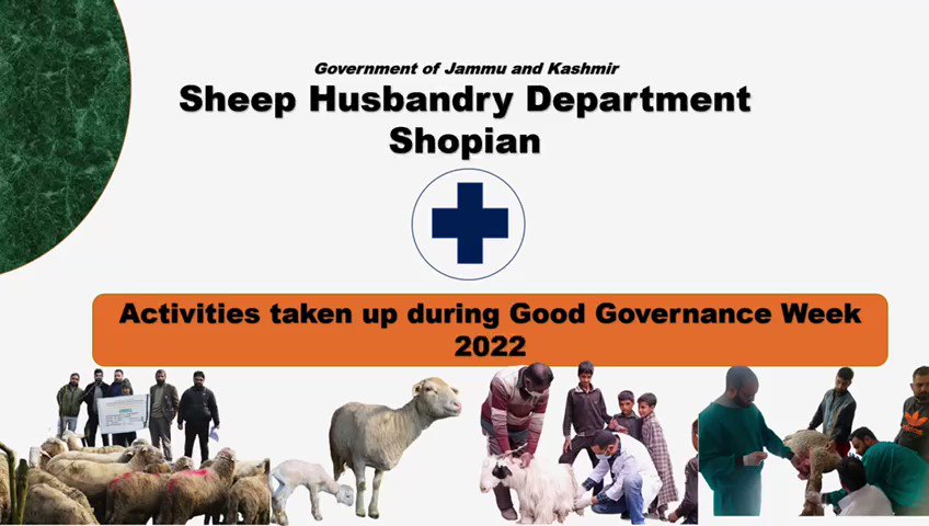 Sheep Husbandry Shopian Official (@sheep_shopian) / Twitter Sheep Husbandry Shopian Official (@sheep_shopian) / Twitter