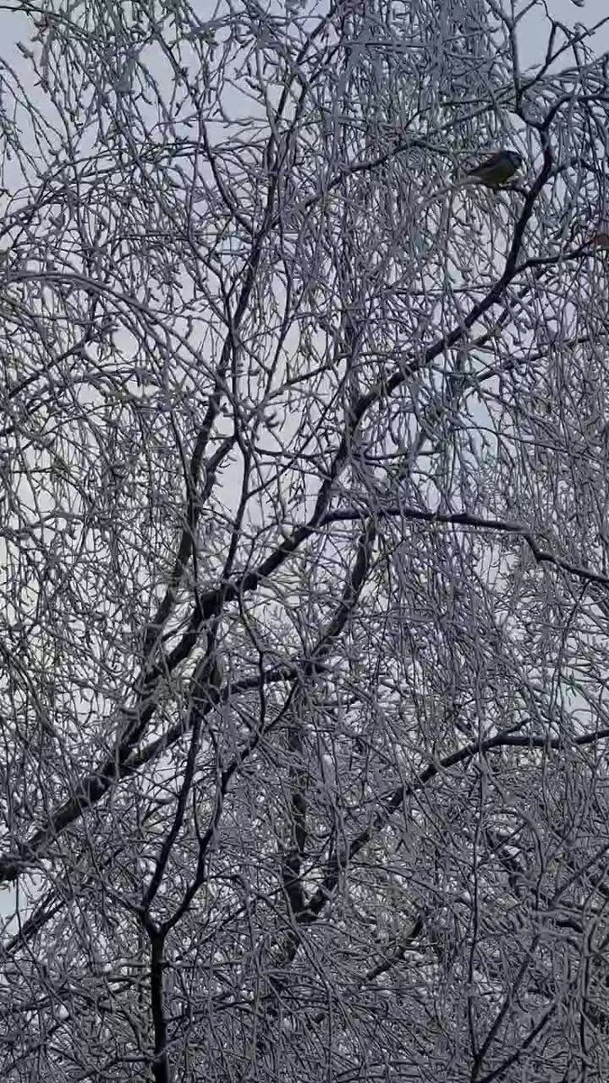 László Bánhegyi on Twitter 