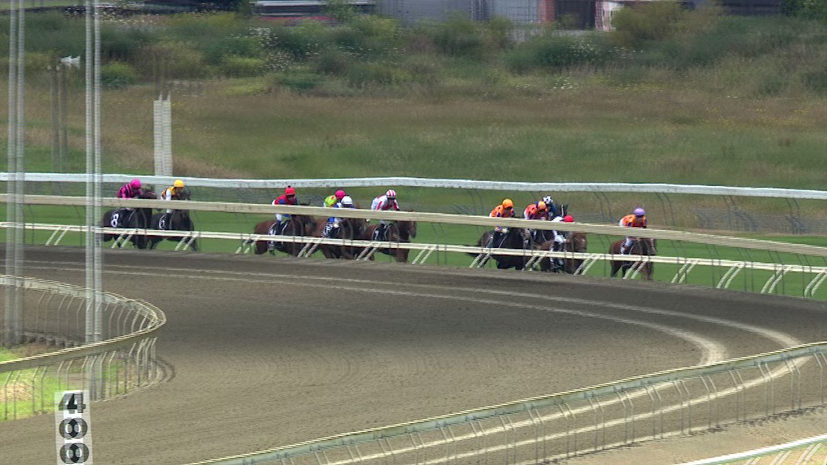 TAB Racing on Twitter: "It's a @TeAkauRacing quinella with TOKYO TYCOON ...