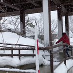 大田ファーム🌾戸ヶ野のこしひかり 熟成発酵にんにく🧄のツイート画像