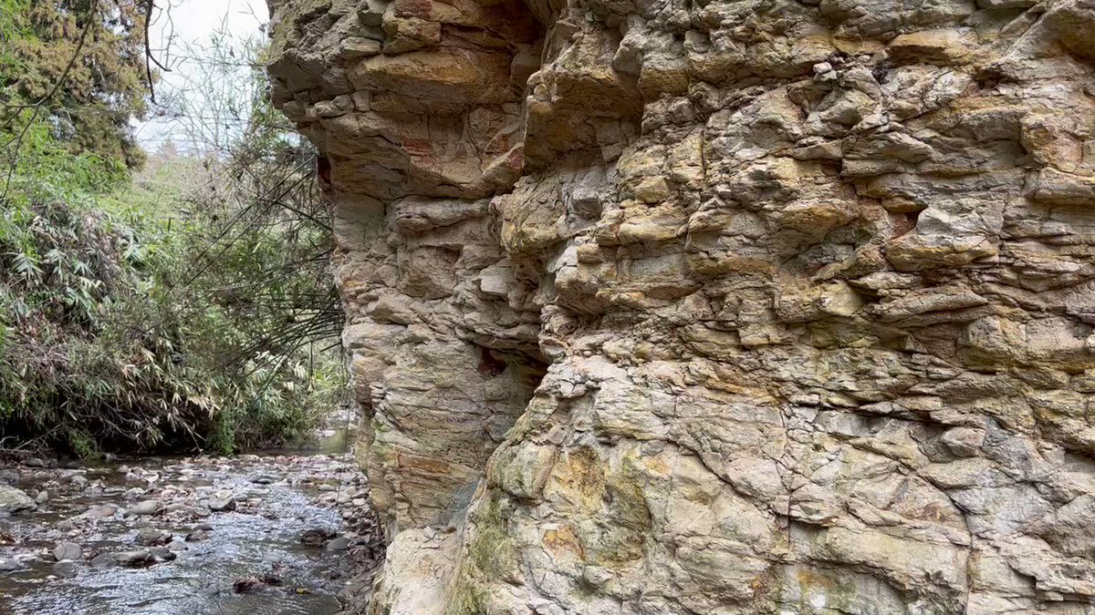 TsuchiyaLab on Twitter 