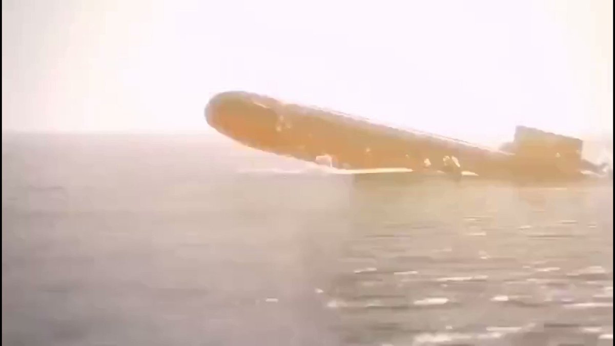 イルカやんけwww🐬
ドルフィンマークつけてるけども！ 