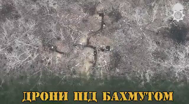 [情報] 無法參加跨年的巴哈姆特熊屍旅行團