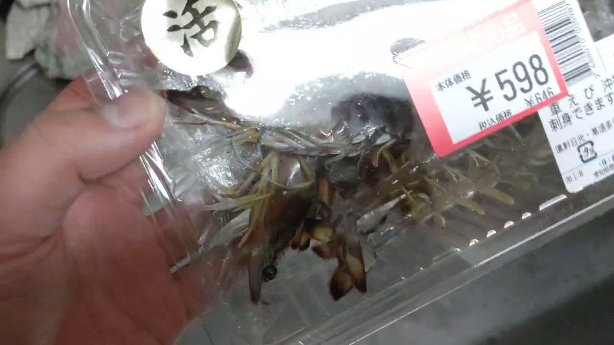 スーパーの鮮魚コーナーで購入！おつとめ品のエビを水槽に入れてみた！