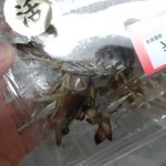 スーパーの鮮魚コーナーで購入!おつとめ品のエビを水槽に入れてみた!