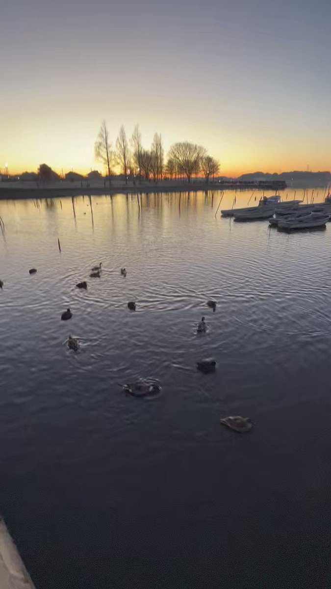 cazuhikoage59 on Twitter 