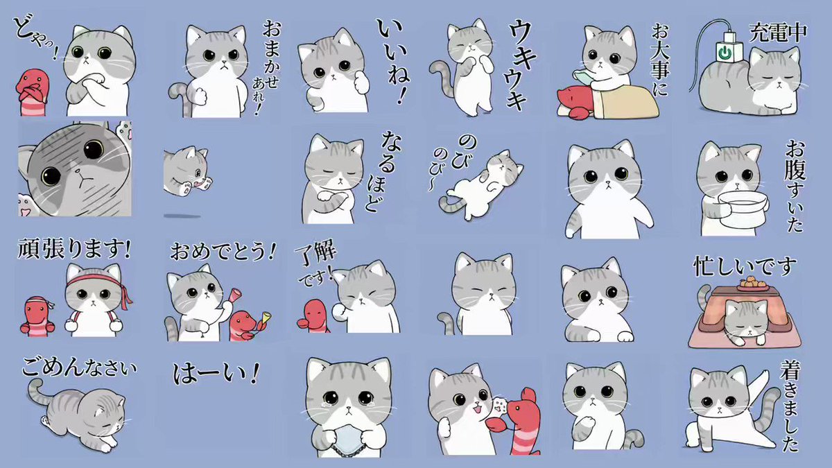 @catmotimaru's video Tweet