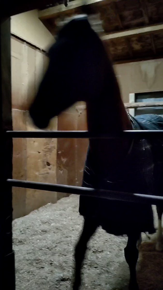 スペルマロンの房は寝わらでなくておが、と 