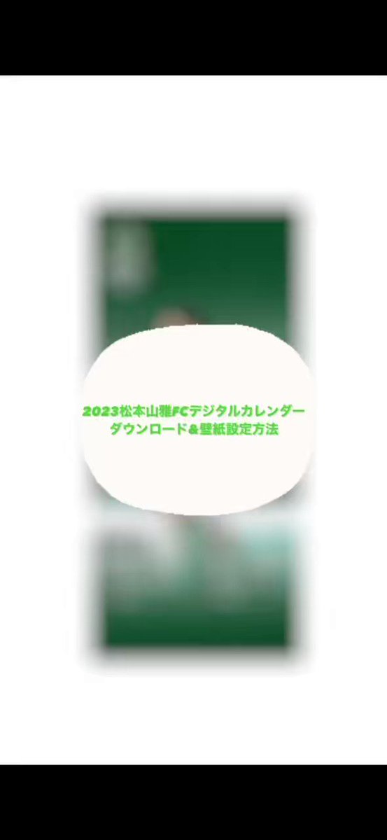 美品 L⭐️adidas トラックジャケット PALMEIRAS⚽️ビンテージ 緑