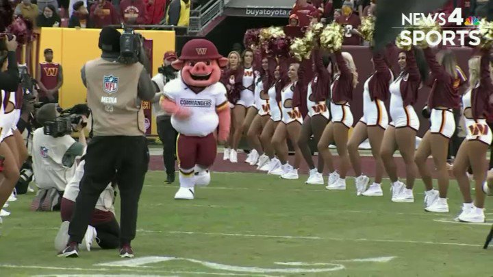 NBC4 Sports on X: 'Meet the #Commanders new mascot, Major Tuddy According  to the team, his love for Washington football began when he was just a  piglet after watching the Hogs offensive