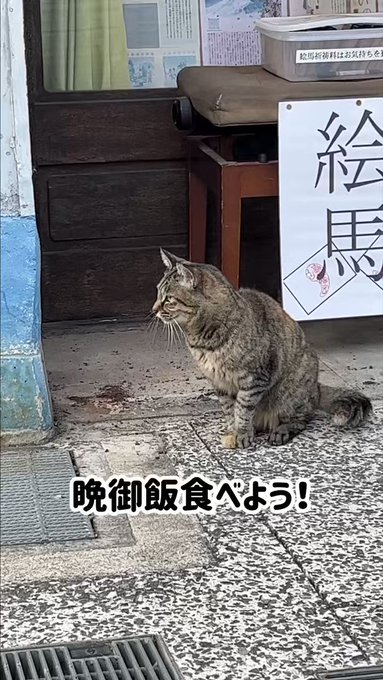 あけましておめでとうございます』の評価や評判、感想など、みんなの ...