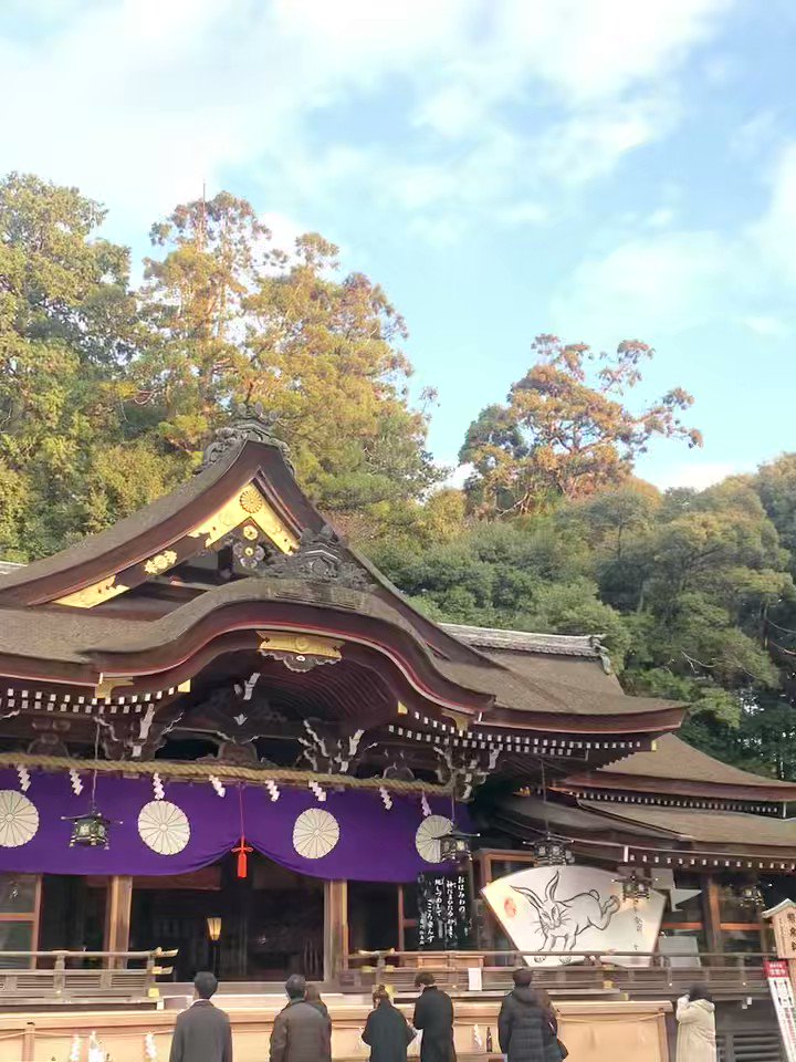 お得 白雪ふきん 老松 睦月 tessiturasdenos.com.br