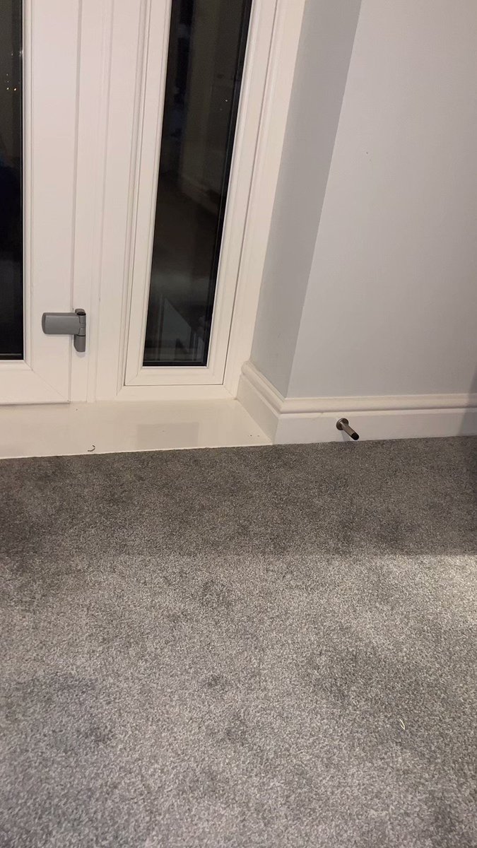 Video by @BrokenByBrats