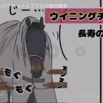 ユルークうーまのツイート画像