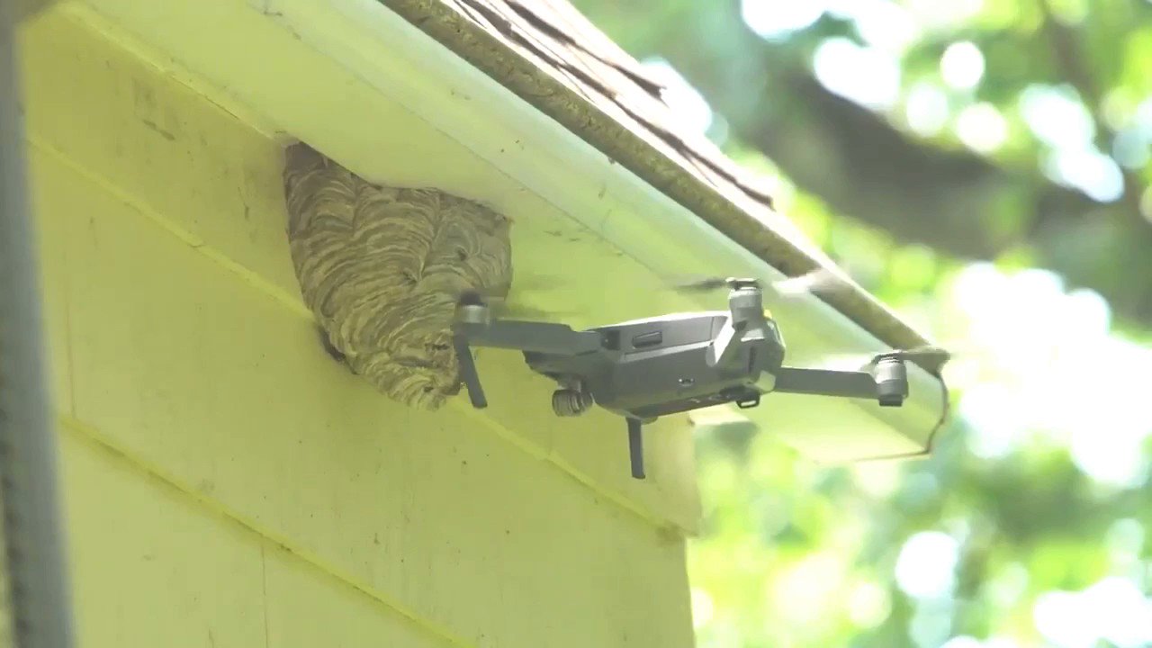 ジャリコ横綱 on Twitter 