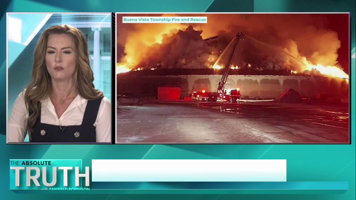 Alex B 🩸 on Twitter "RT JamaicanPattee Why have 130 food processing plants been damaged or