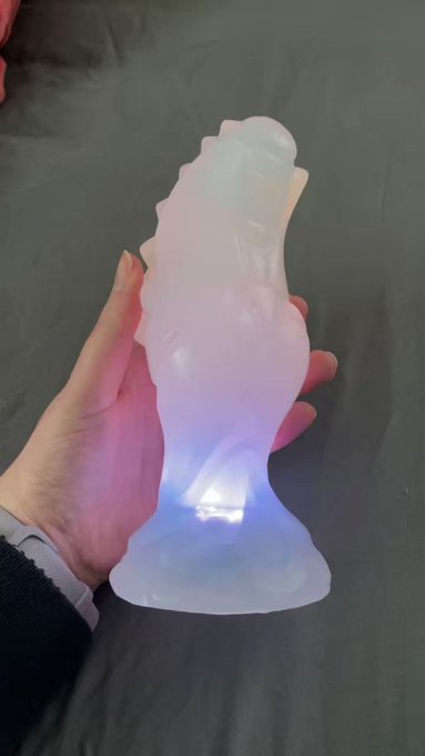 Quinn’s pics and videos