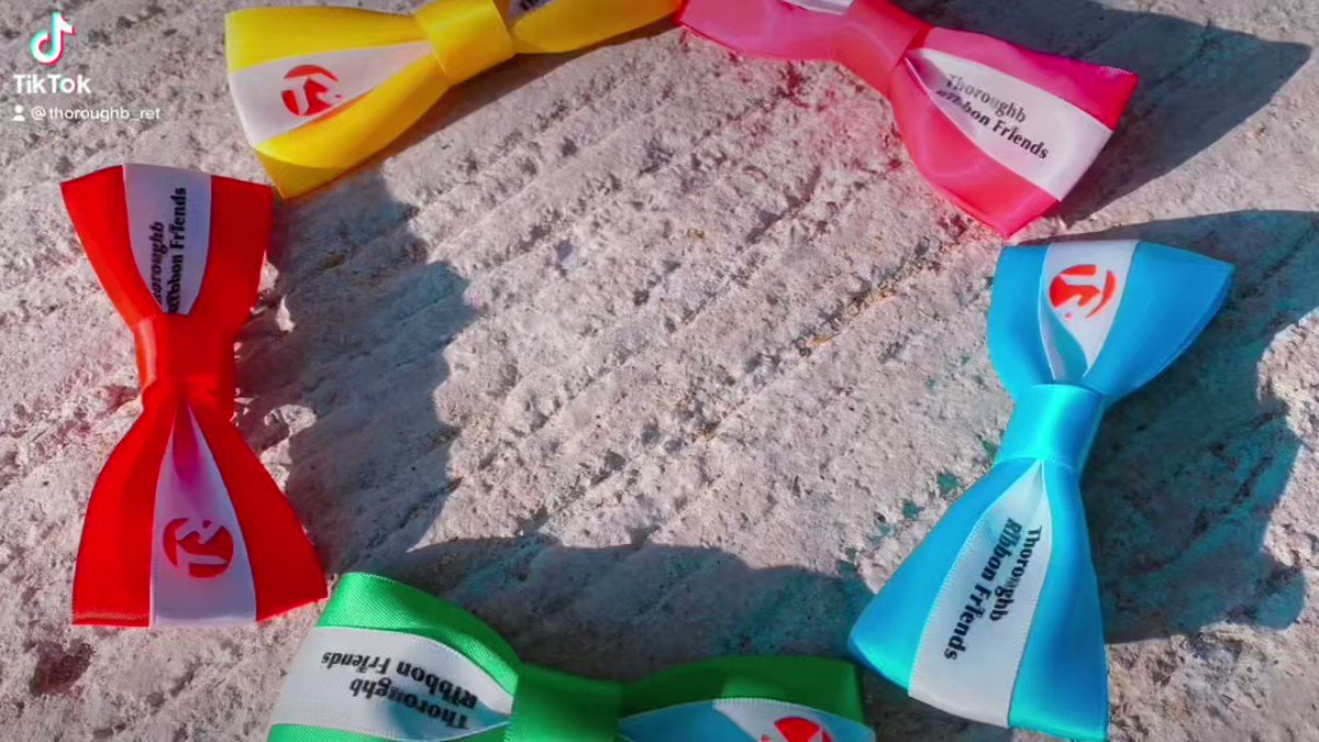 サラブリボンフレンズのイメージキャラクターを
#馬にーず で再現してみました！🐴🎀

黄色 #ワーウルフ
ピンク #ルシャドール
水色 #ニューポート
緑 #ハイテルカイト
赤色 #アポロホープ

皆リボンが似合っていてハート💛をキャッチされちゃいました！
#サラブリボンフレンズ
#引退馬支援  