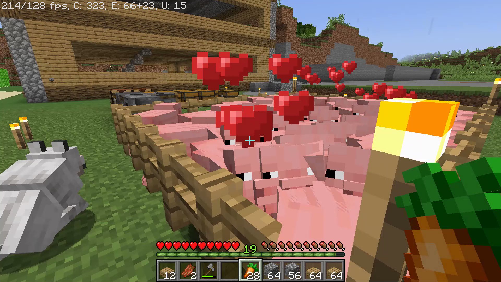 [閒聊] 玩麥塊餵豬時發生的悲劇