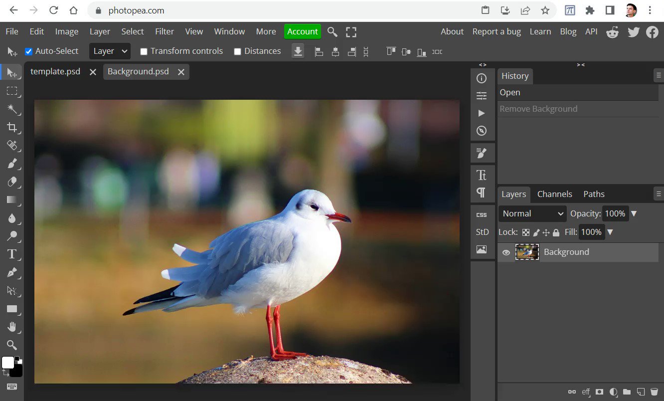 Photopea on Twitter "We have a new feature! Remove the background