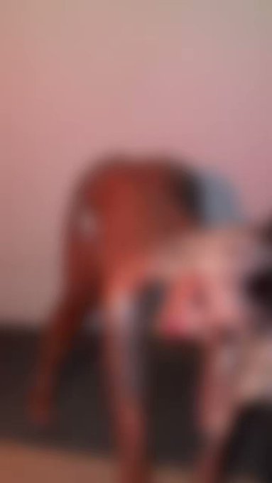 FREE VIDEO? Follow https://t.co/4yvOoMZggq and send Screenshot there ♥️ https://t.co/MXtPivM7x9