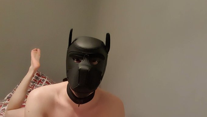 Have some twink pup butt ;3 https://t.co/ynlXHc7QWW