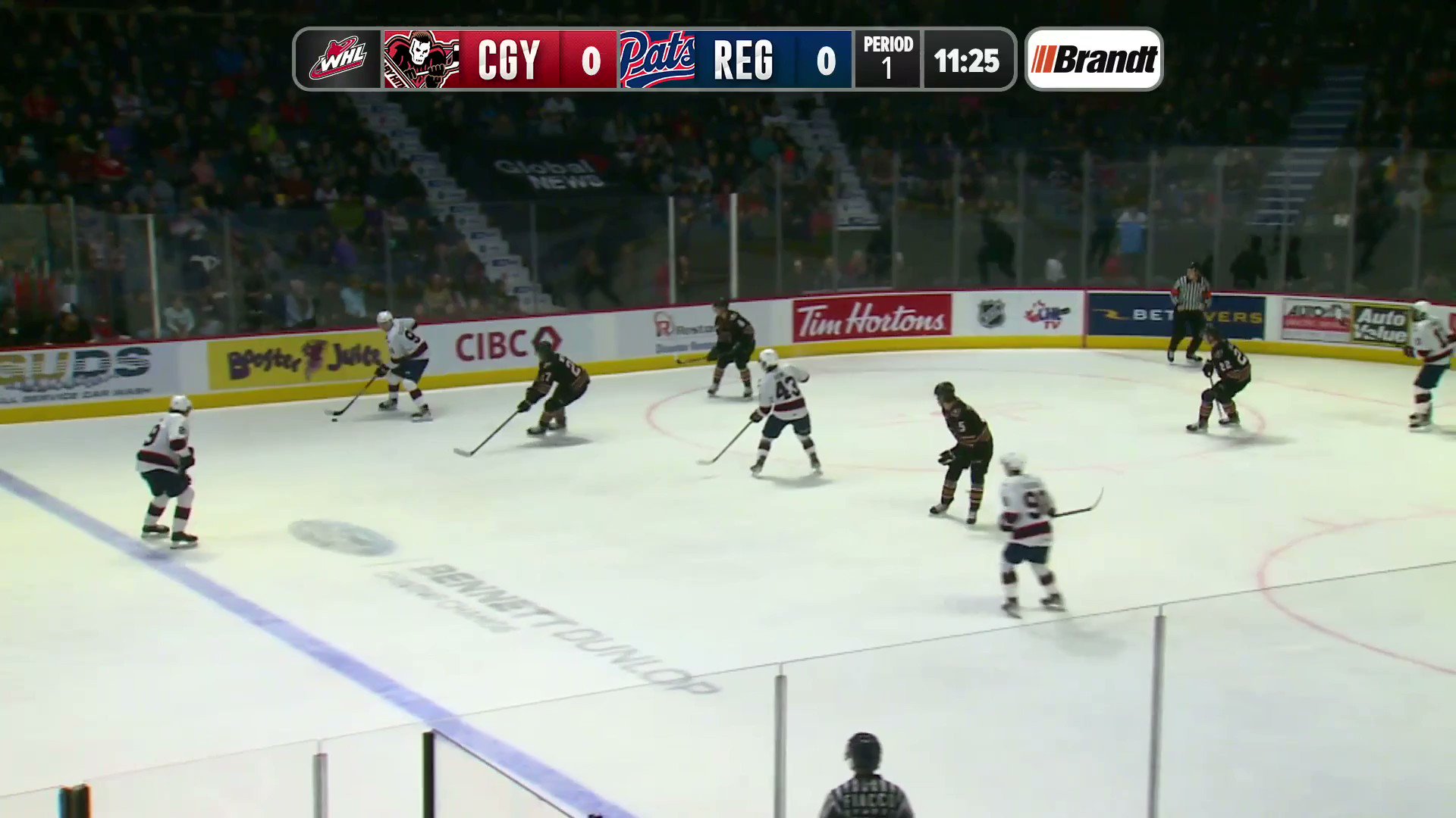 regina-pats-on-twitter-welcome-back-bedsy-cb98-needs-less-than-a