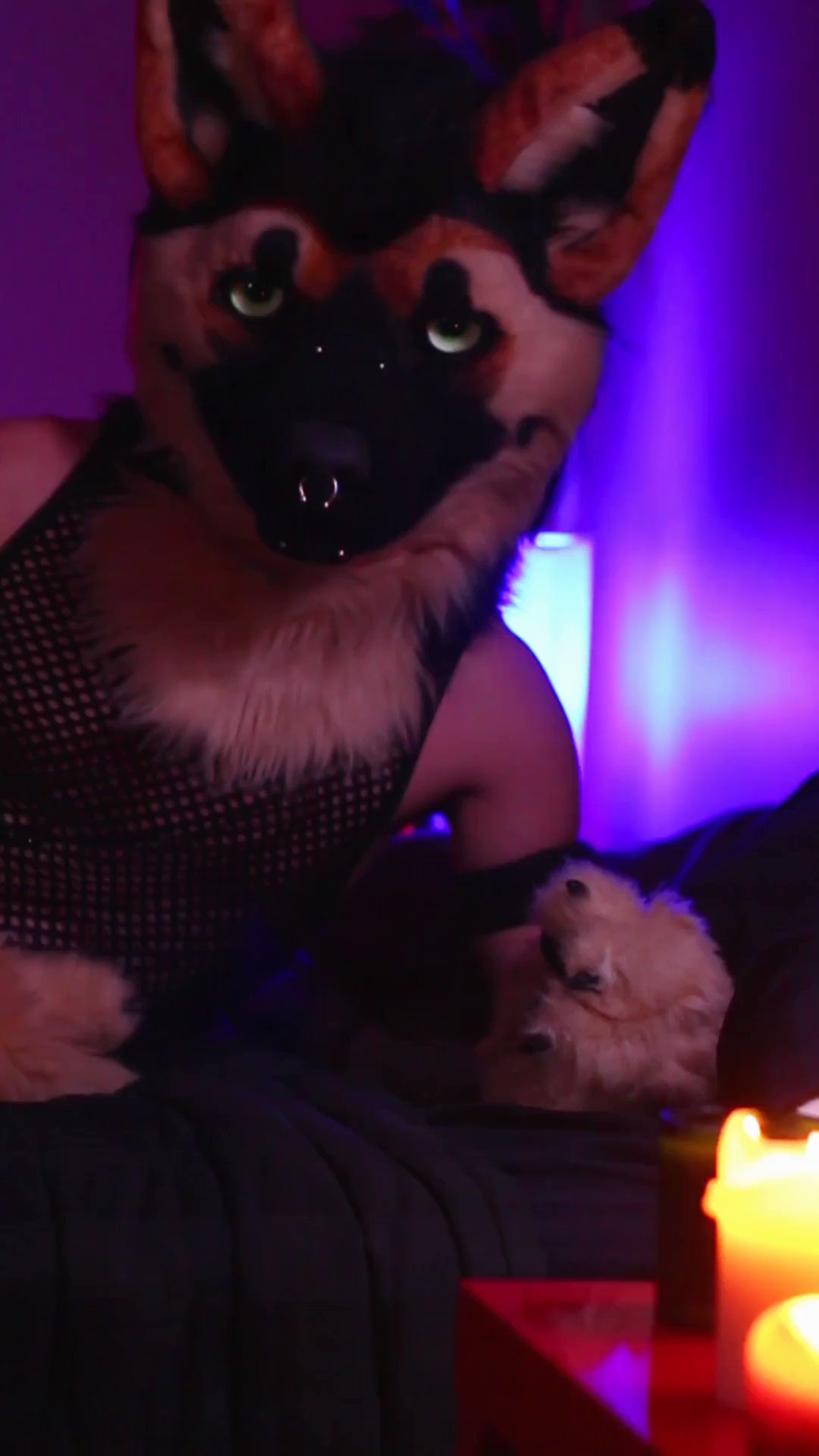 bresnan-teddy-publicteddy-twitter