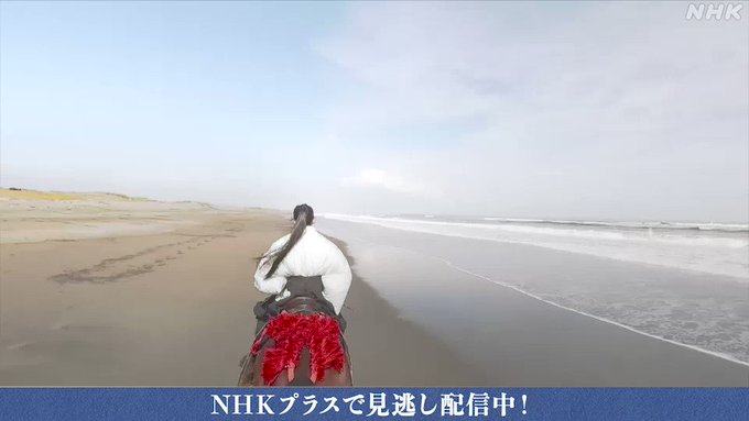 洗濯機可 江戸幕府最終期から明治大正浪漫を駆け抜ける