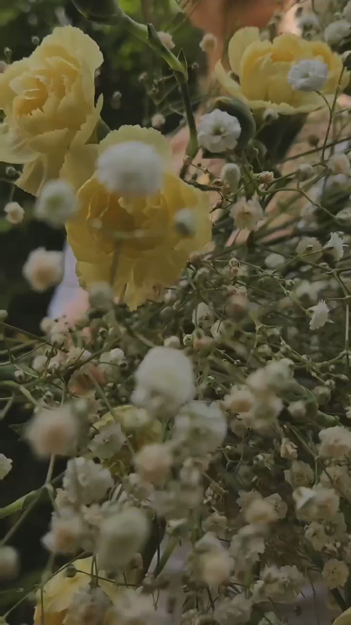 Miss Earth (MissEarth) / Twitter