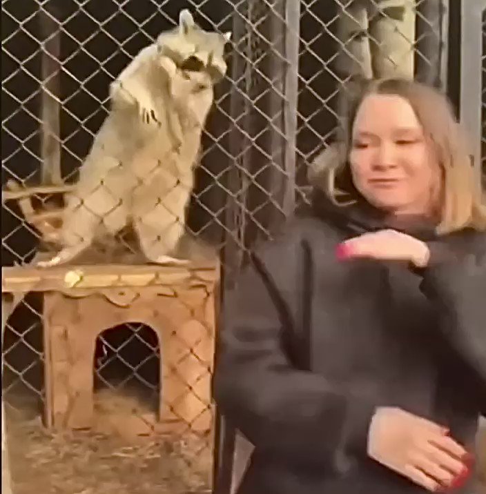 Артемий Троицкий (aktroitsky) / Twitter