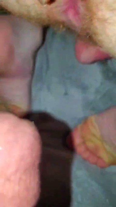 Tight 18yo Country Ginger boy tries out his first black dick in my SUV. Hes new to gay sex, Poor guy