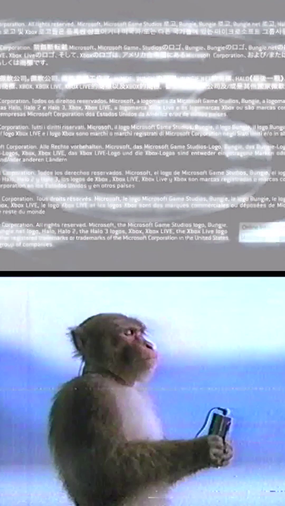 Monkey listening to music (meme) 