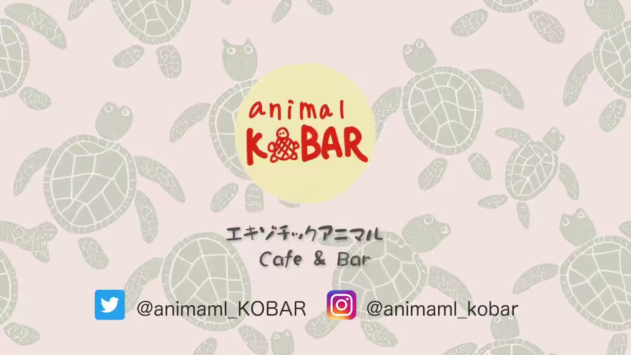 animal KOBAR（アニマルコバー） (animal_KOBAR) / Twitter