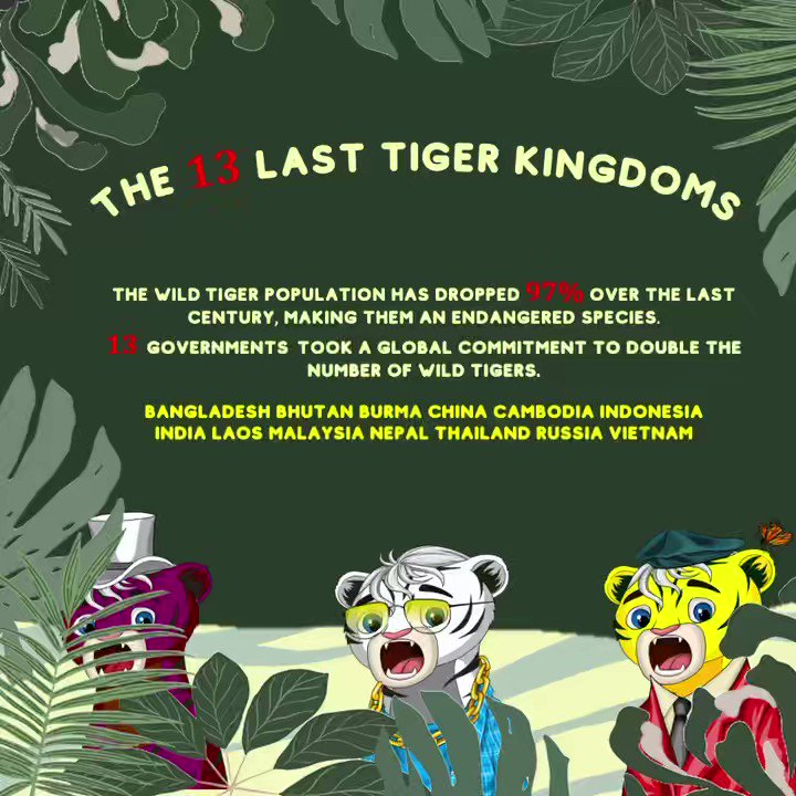 Sweet Tiger Cub NFT on Twitter: Sweet Tiger Cub NFT on Twitter: