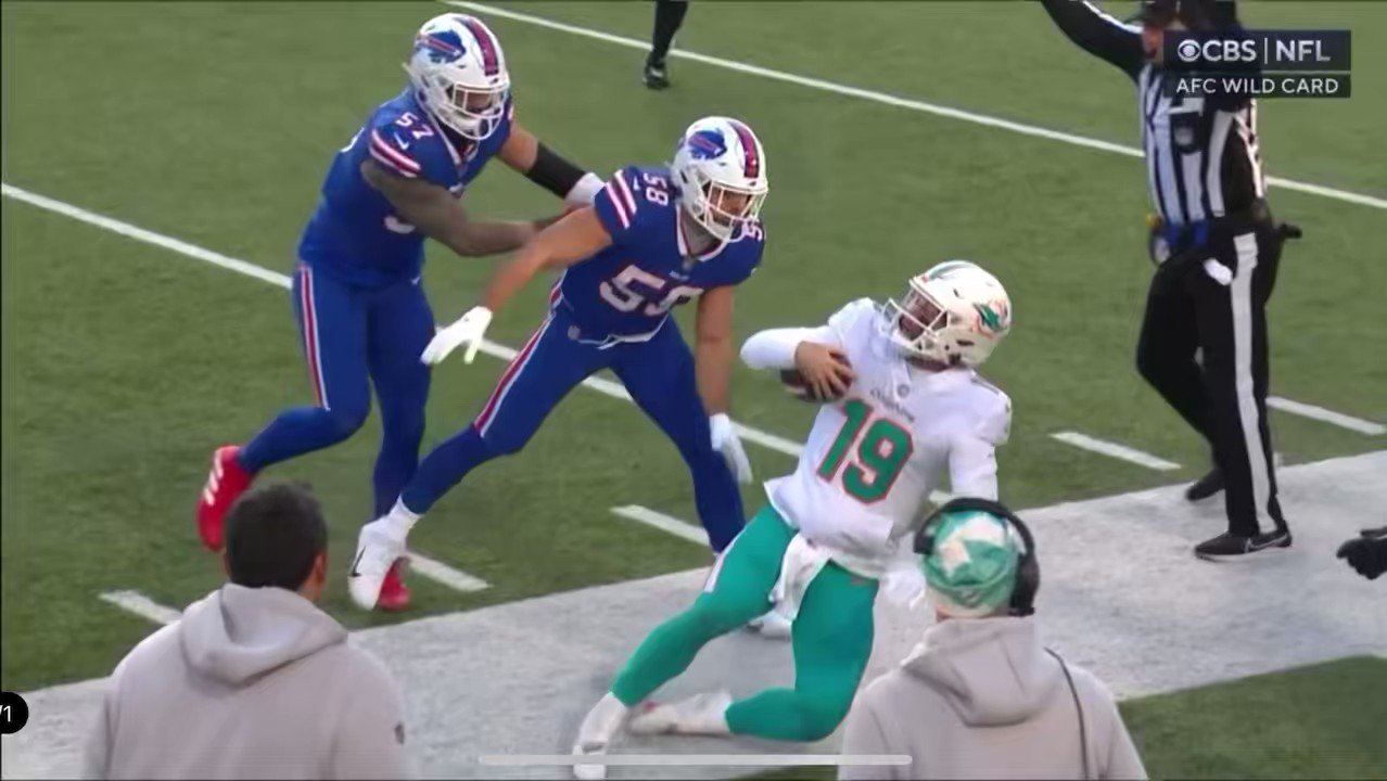 Paulie Walnuts (walnuts_pauli) / Twitter