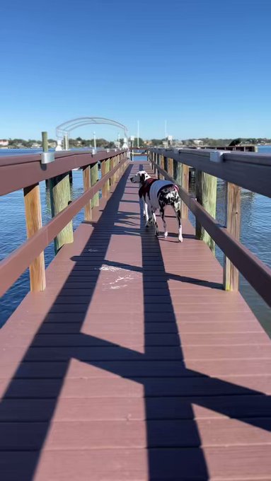 Jackets ? 30 degrees in south Florida. https://t.co/djwyW6svBv